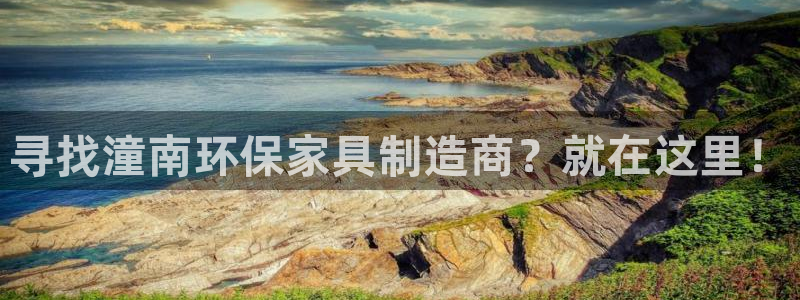 杏耀总代
