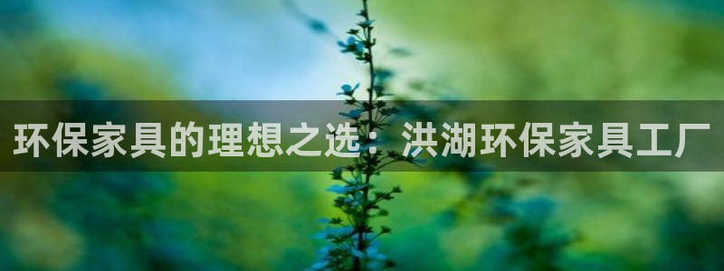 杏耀平台登陆官网