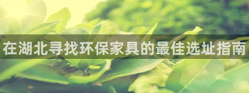 杏耀登陆电脑线路测速