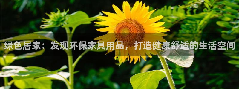杏耀平台代理怎么赚钱快