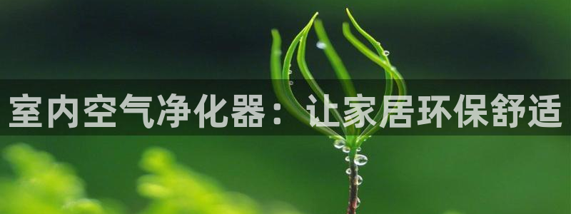 杏耀平台怎样
