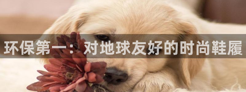 杏耀平台线路