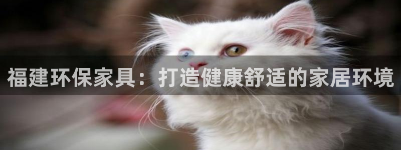 杏耀官网主管