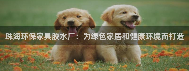 杏耀登陆线路