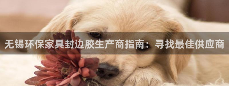 杏耀官方娱乐