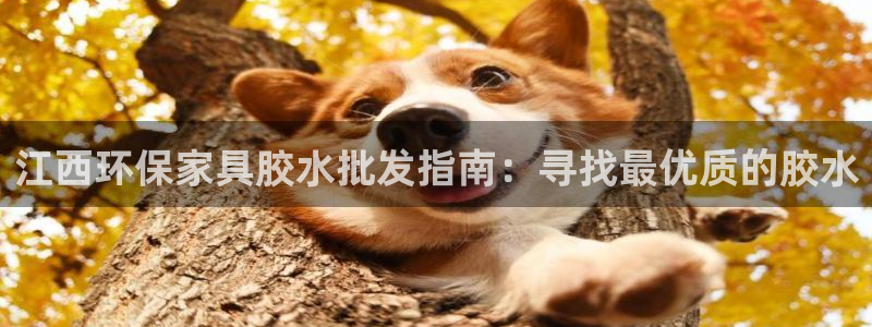 杏耀app怎样申请退款