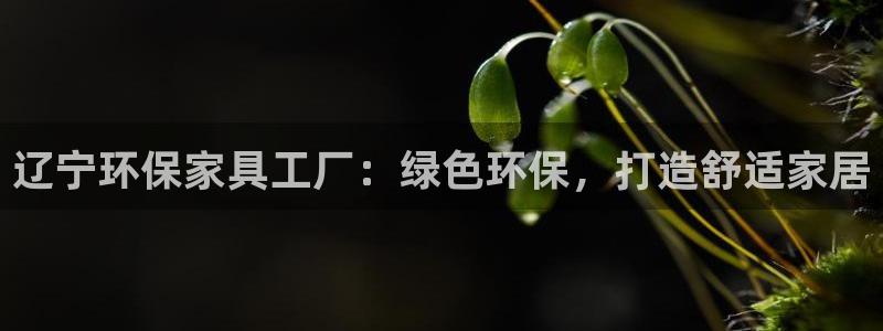 杏耀注册中心：辽宁环保家具工厂：绿色环保，打造舒适家居