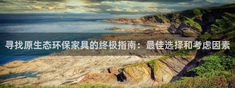 杏耀软件：寻找原生态环保家具的终极指南：最佳选择和考虑因素