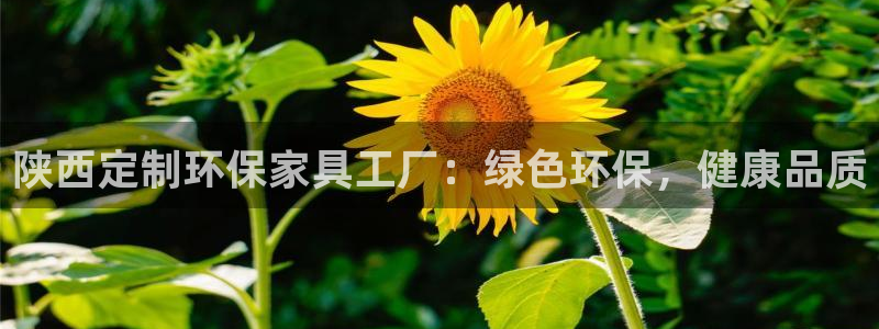 杏耀登陆电脑线路测速