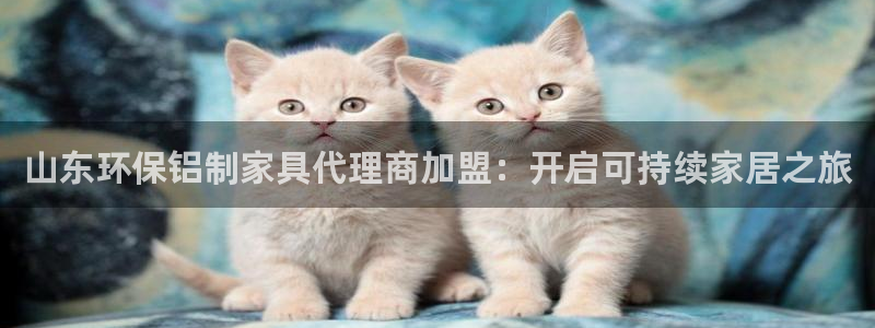 杏耀平台娱乐：山东环保铝制家具代理商加盟：开启可持续家居之旅