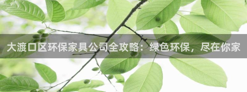 杏耀登陆电脑线路测速：大渡口区环保家具公司全攻略：绿色环保，