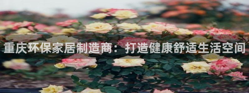 杏耀3注册：重庆环保家居制造商：打造健康舒适生活空间