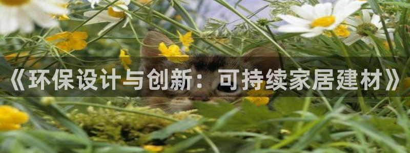 杏耀平台服务中心是干嘛的：《环保设计与创新：可持续家居建材》