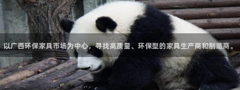 杏耀平台登录网址是什么：以广西环保家具市场为中心，寻找高质量
