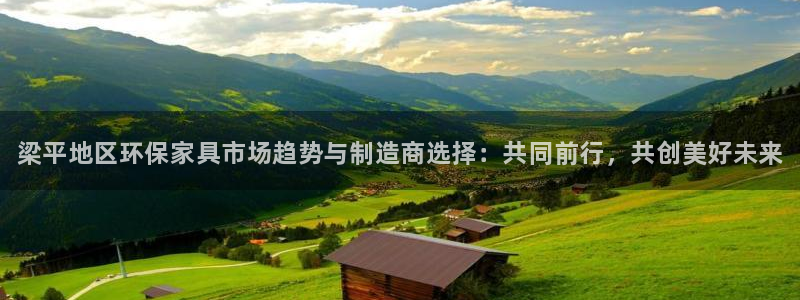 杏耀登录网页：梁平地区环保家具市场趋势与制造商选择：共同前行