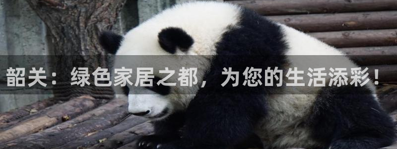 杏耀平台官方网站：韶关：绿色家居之都，为您的生活添彩！