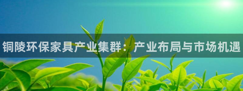杏耀官方网：铜陵环保家具产业集群：产业布局与市场机遇