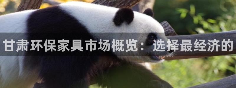 杏耀注册登录中心：甘肃环保家具市场概览：选择最经济的