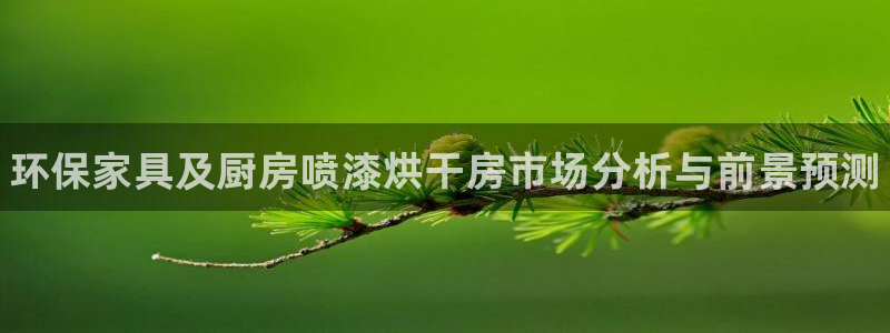 杏耀总代理：环保家具及厨房喷漆烘干房市场分析与前景预测