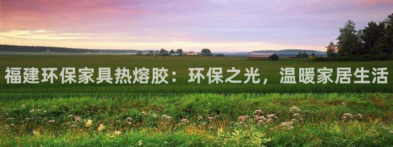 杏耀平台官方网站：福建环保家具热熔胶：环保之光，温暖家居生活