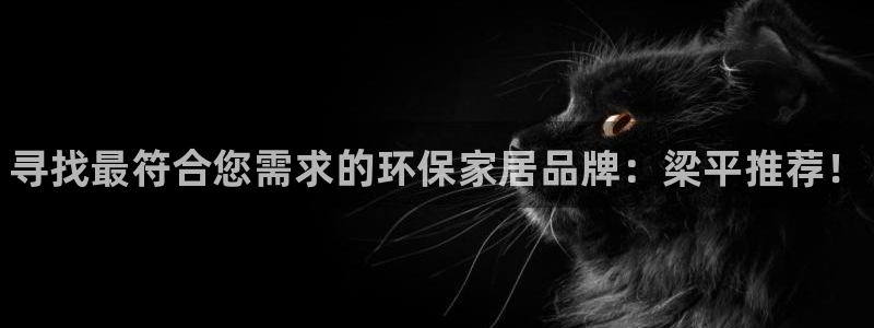 杏耀平台还在吗：寻找最符合您需求的环保家居品牌：梁平推荐！