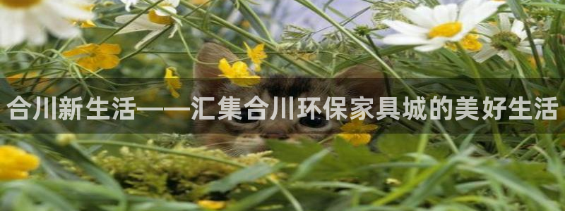 杏耀3注册：合川新生活——汇集合川环保家具城的美好生活